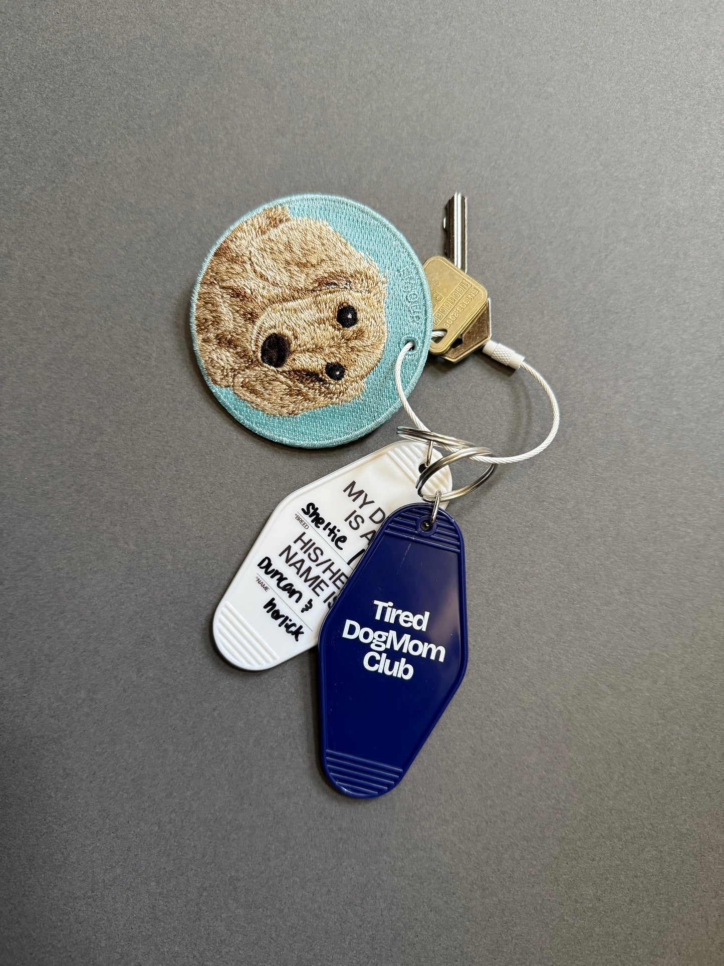 Your Dog's Nametag Keychain