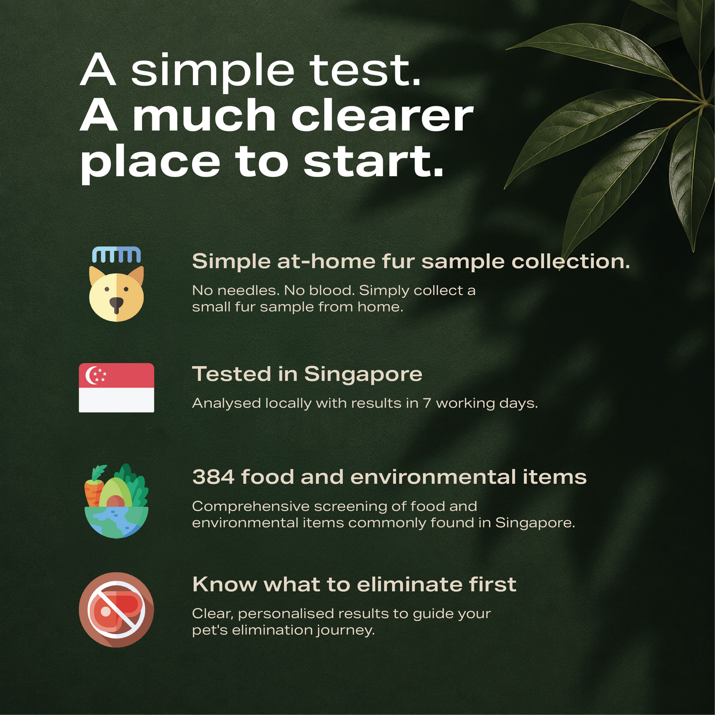 Pawllergy Test