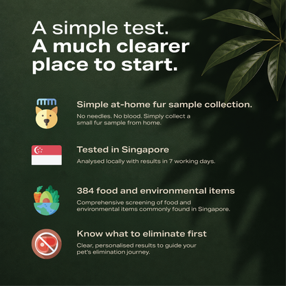 Pawllergy Test