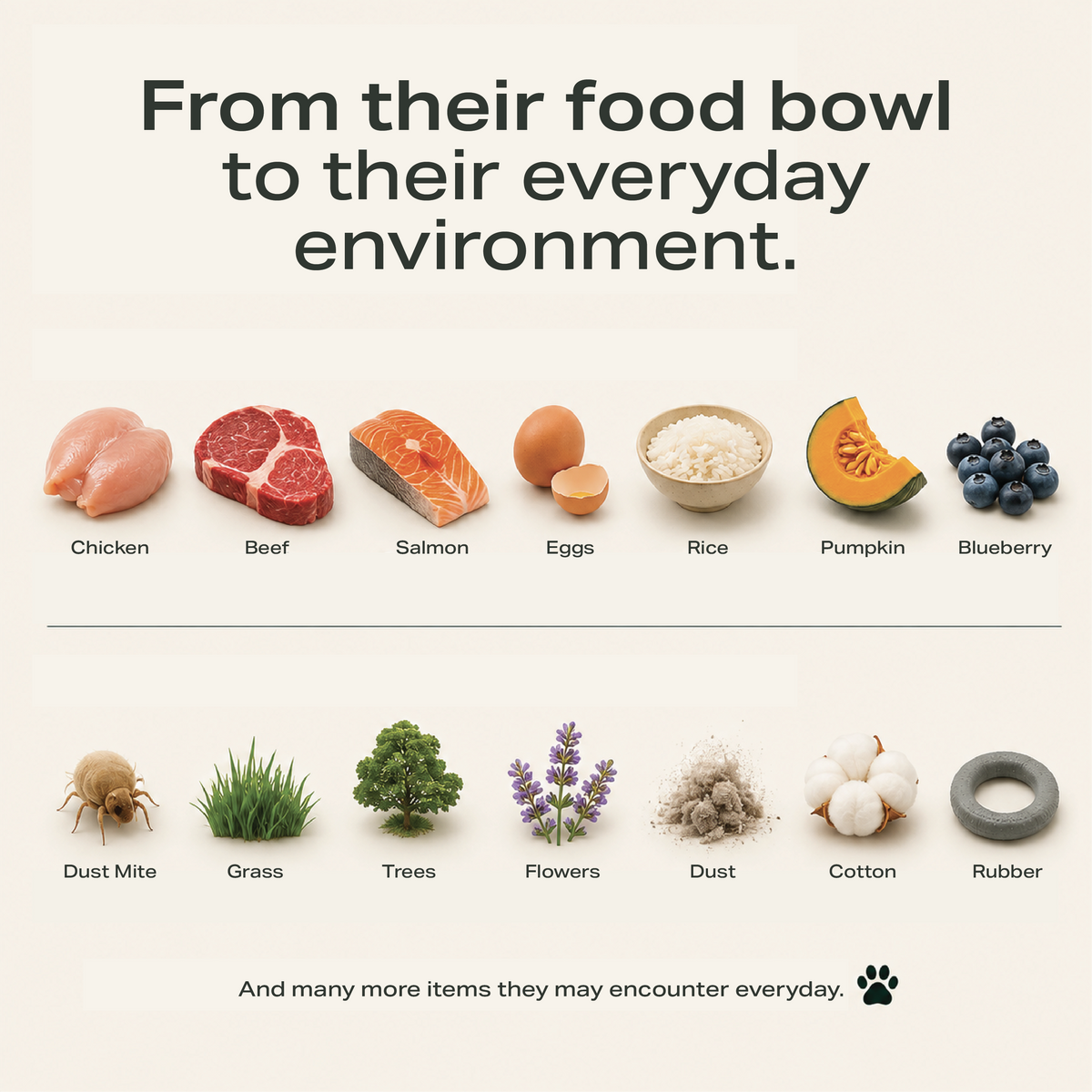 Pawllergy Test
