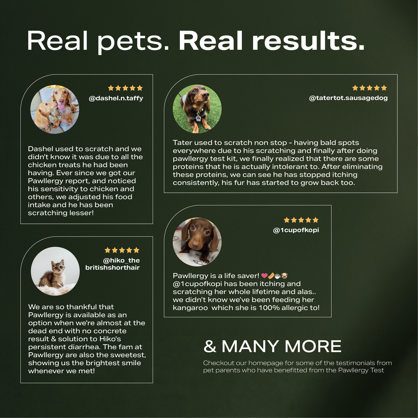 Pawllergy Test