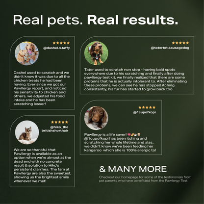 Pawllergy Test