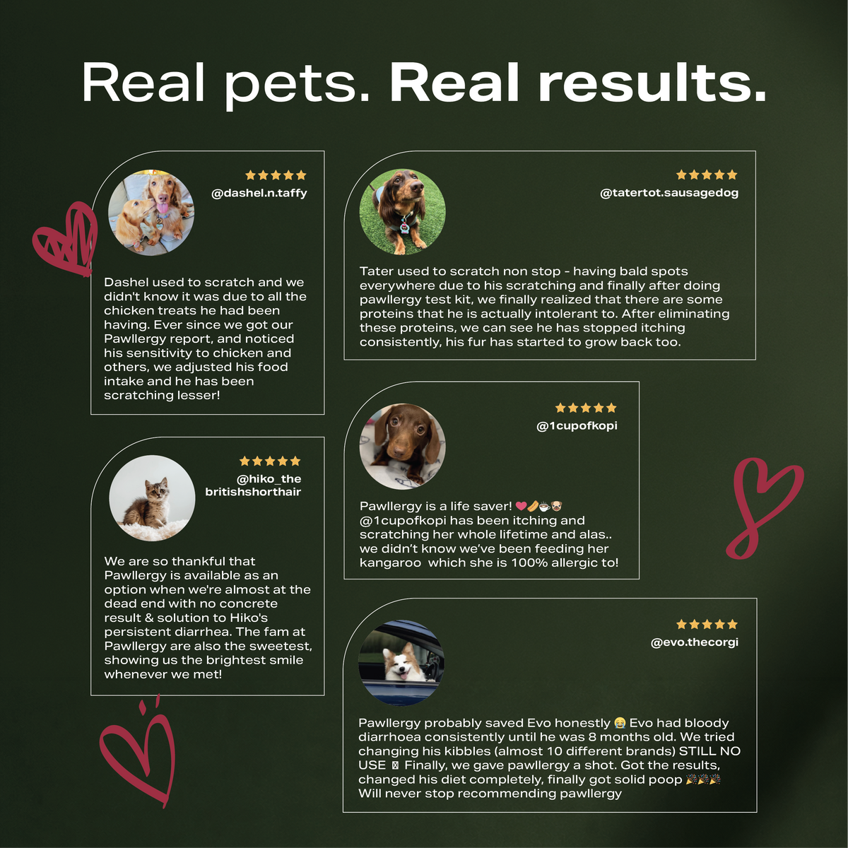 Pawllergy Test