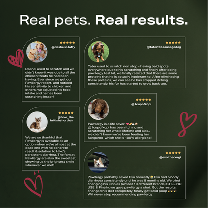 Pawllergy Test