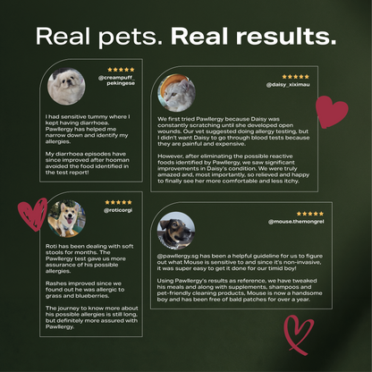 Pawllergy Test
