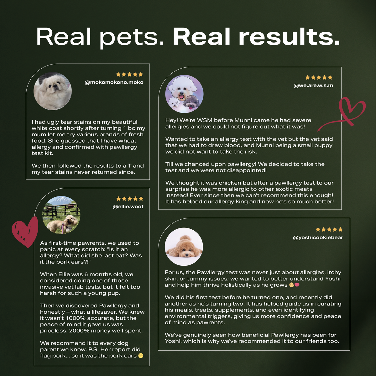 Pawllergy Test
