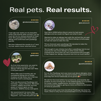Pawllergy Test